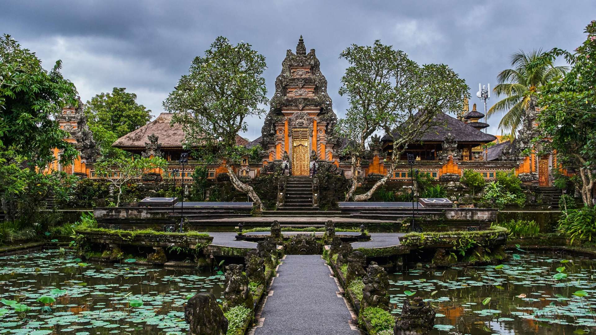Jungle Swing & Ubud Waterfall Tour