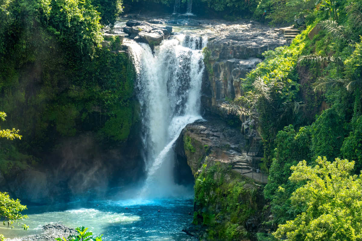 Jungle Swing & Ubud Waterfall Tour