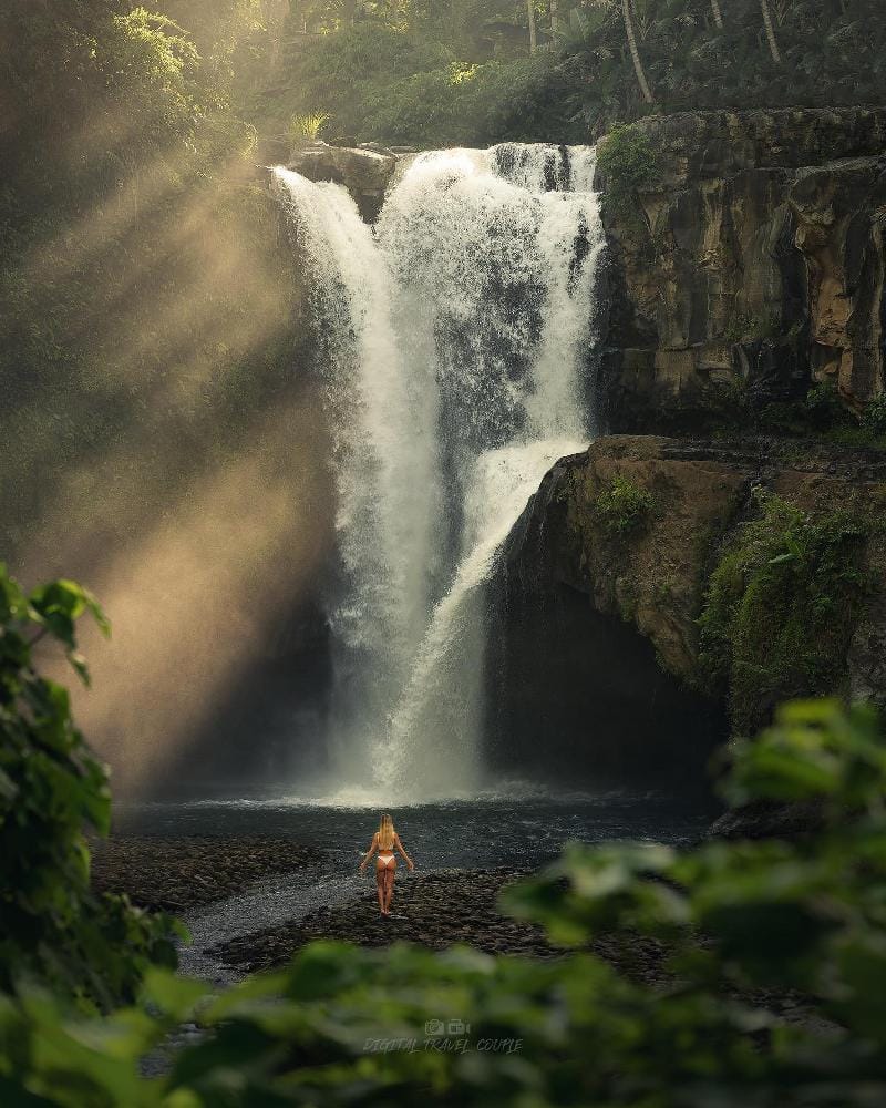 Jungle Swing & Ubud Waterfall Tour