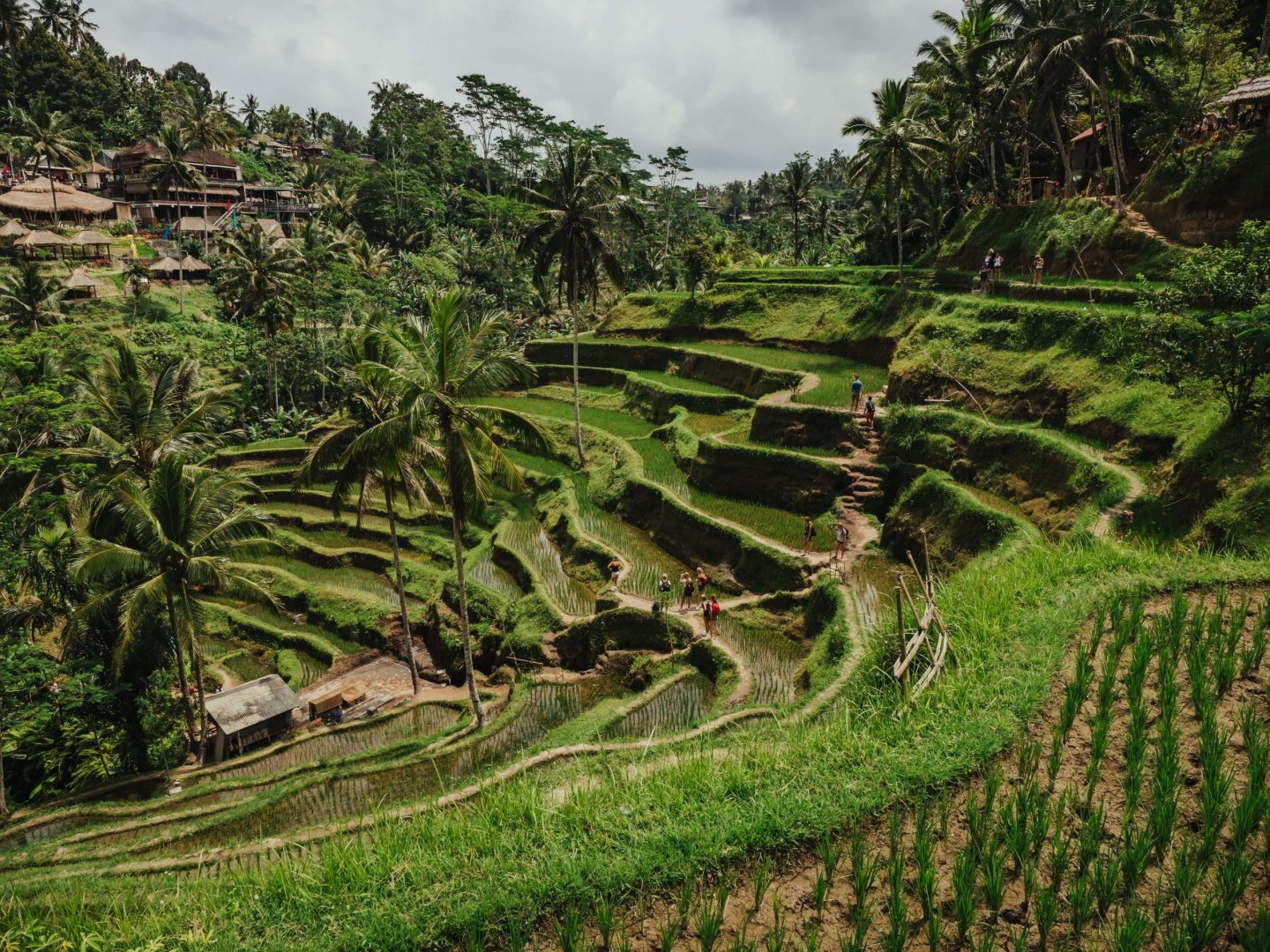 Lempuyang’s Gate of Heaven Tour
